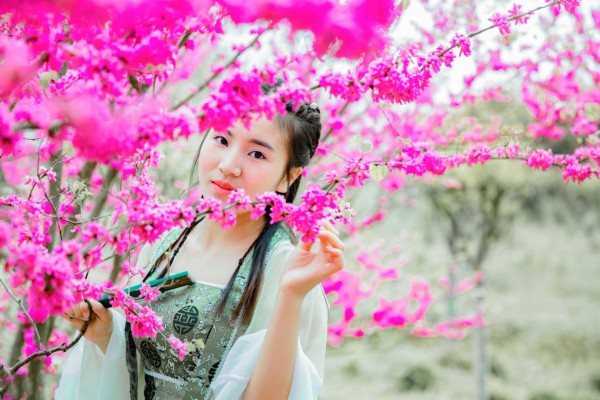 武汉茶韵悠长，美景如画等你来