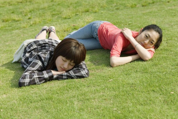 茶香武汉:探访隐藏在绿意中的神秘茶园 茶香武汉:探访隐藏在绿意中的神秘茶园